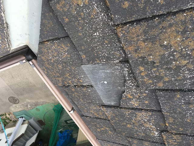 一部屋根材が剥離した屋根